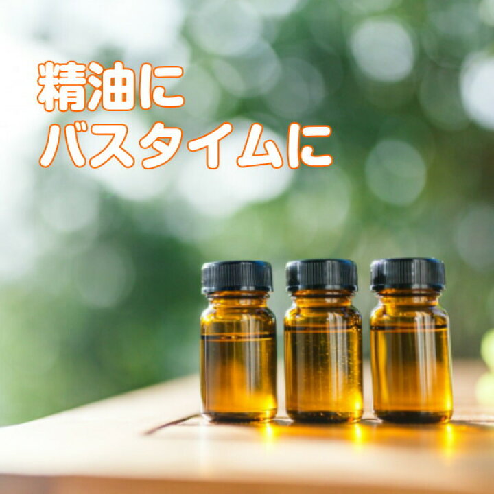 楽天市場 ローズマリー 鉢植え 苗 精油 カラープランター入り 送料無料 ハーブ 苗 効能 アンチエイジング アロマオイル ミント タイム レシピ 育て方 使い方 立性 這性 季節 ガーデン 寄せ植え 花 ギフト 玄関 誕生日 プレゼント ハーブ苗のポタジェガーデン