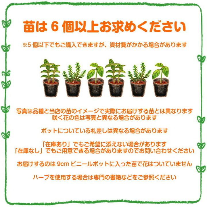 コモンタイム ポット直径9cm