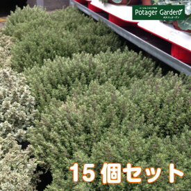 楽天市場 寄せ植え 冬 ガーデニング 農業 花 ガーデン Diy の通販