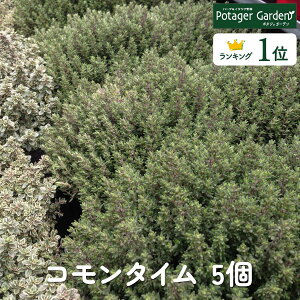 y{P2{z n[u c Zbg R^C 5in[uc ͔|Lbg p \ p   ĕ g Iѕ x_[ 񂹐A n[ueB  A oW [Y}[ ~