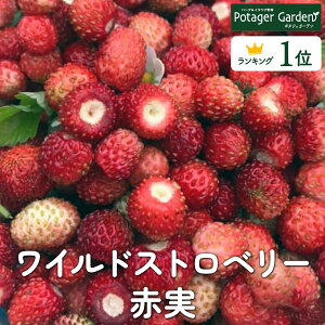 y{P2{z n[u c ChXgx[ Ԏin[ueB[ n[uK[f ͔|Lbg ԕc K[fjO hCn[u Zbg  v^[ 񂹐A eB[obO n[uEH