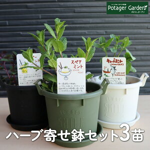 y{P2{z n[u ͔|Lbg 񂹔iOERei 12 c3 K[fjO Lb`n[u c v^[ 킢 n[ueB[ n[uK[f ϗtA  oW [Y}