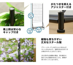緑のカーテンベランダ用(1個/2才)