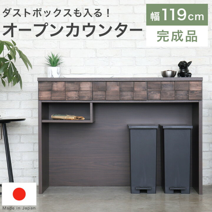 楽天市場】キッチンカウンター これは便利！ ゴミ箱足元収納オープン 