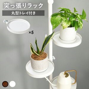 y6_Zbgz ς_ ˂ ˂胉bN ς bN ǖʎ[ ǖʃbN X ˂_ gC ی^ ܂Ƃ Zbg  zCg ubN uE   X`[ 