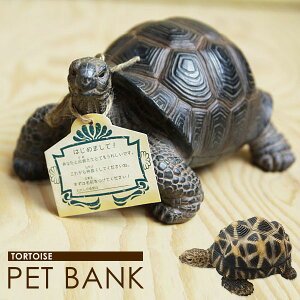 yAj}^̒zoN u  CeAG WG  v[g Mtg G ybgoN a j PET BANK TORTOIS  ybgoNiJj 