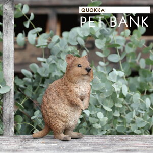  RCoN  Aj} ybg ybgoN  킢 oN u CeAG WG  v[g Mtg a j G ybgoNi