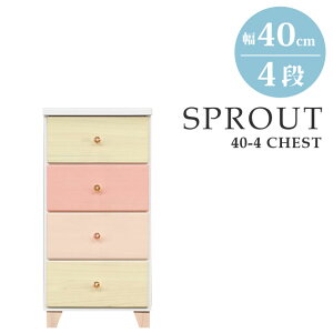 `FXg  4i i 40 ؐ k X rO [ rO`FXg ^X m ߗ [ o  킢 Pn sN XvEg40^[{4i