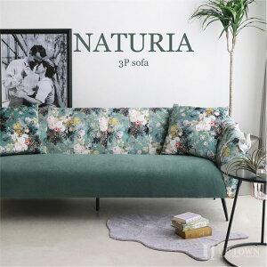 \t@ \t@[ 3lp 3l| 200cm ʍ43cm  킢 k _ pb`[N ԕ   zn t@ubN E^ X`[r |{bgΉ e[N 