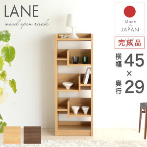 VFt bN I I[vVFt Ԏd؂ fBXvC ؐ X 45  k i` Vv _ {I I[vbN [I rO Lb` _CjO ItB