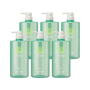 e lւp{g fBXyT[ ԉ L[ RfBVi[ 1000mL Ɩp 6{