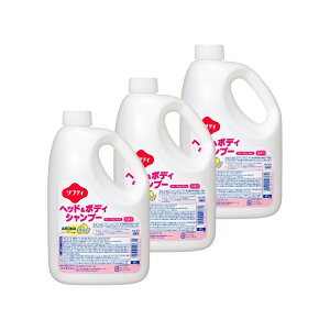 ԉ \teB wbh{fBVv[ AROMA 2Lx3{ Ɩp {ݗl