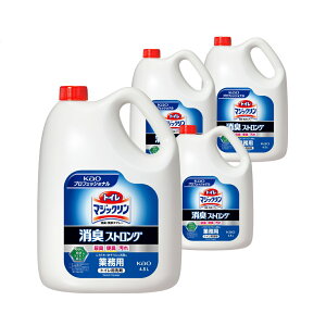 ԉ gC}WbN LEXv[ LXgO tbVn[u̍ Ɩp 4.5Lx4{gCp