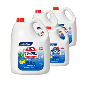 ԉ gC}WbNLEXv[ Ɩp 4.5Lx4{ gCp