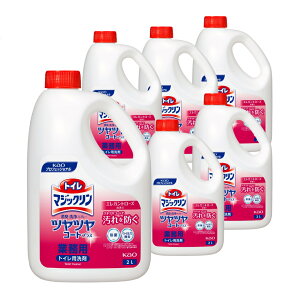 ԉ gC}WbN LEXv[ ccR[gvX GKg[Y̍ Ɩp 2Lx6{gCp