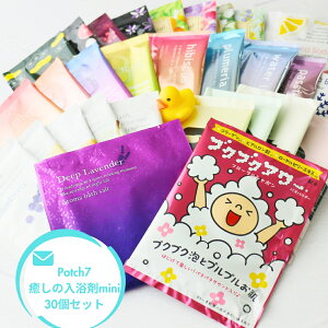  v`Mtg  30Zbg Potch7 ̓mini [