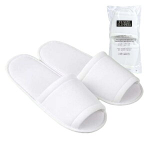 ĝ Xbp 30XL F OPܓ 100 SBze AjeB 