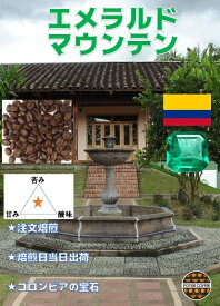 【送料無料！】コロンビア エメラルドマウンテン 500g 焙煎 コーヒー豆 珈琲豆 生豆 焙煎豆 豆 ストレート コーヒー 深煎りコーヒー 注文後 自家焙煎 珈琲 焙煎 新鮮 煎りたて 粉 粉末 豆粉 お取り寄せ ギフト プチギフト選べる焙煎度合