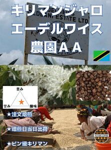 �^���U�j�A�@�G�[�f�����C�X�_��AA�@300g�A�t���J�@�L���}���W���� �R�[�q�[�� �����R�[�q�[�� ���蓤 ���� ������ �� �X�g���[�g �R�[�q�[ �������� ���� ���� ���肽�� �V�N ���ה҂� ����