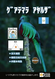 グアテマラ　アヤルザ　500gマヤ文明　世界遺産 コーヒー豆 焙煎コーヒー豆 珈琲豆 生豆 焙煎豆 豆 ストレート コーヒー 自家焙煎 珈琲 焙煎 煎りたて 新鮮 中細挽き お取り寄せ 美味しい選べる焙煎度合 浅煎り 中煎り 深煎り