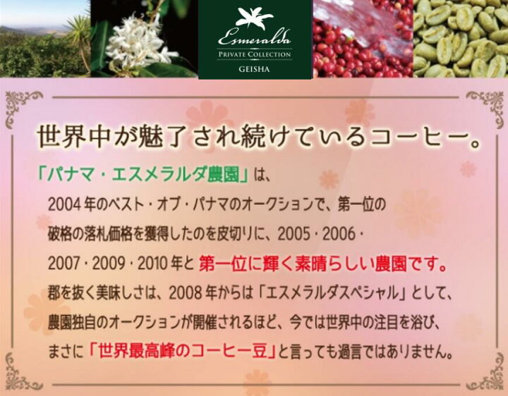 楽天市場】【送料無料】パナマ エスメラルダ 農園 ゲイシャ（100 