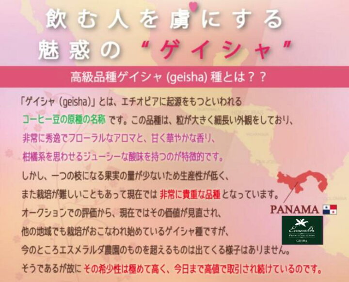 楽天市場】【送料無料】パナマ エスメラルダ 農園 ゲイシャ（100 