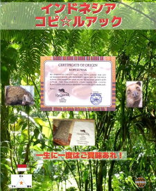 【超希少！】【送料無料】インドネシア コピルアック 100％Kopi Luwak 100gコーヒー豆 焙煎コーヒー豆 珈琲豆 生豆 焙煎豆 ストレート コーヒー 自家焙煎 珈琲 焙煎 煎りたて 新鮮 中細挽き 粉 ジャコウネコ コピルアク お取り寄せ選べる焙煎度合 希少