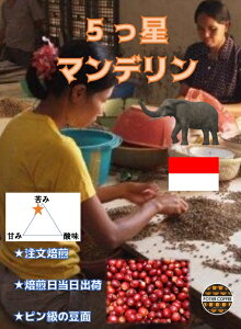 ܂}fG1@300gChlVA@X}g R[q[ }f 蓤    Xg[g R[q[    肽 VN ה҂  Iׂ