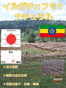 G`IsA@CK`FtG1@i`@300gAtJ@G`IsA R[q[   CK`FtF@CK`FtB Xg[g R[q[   J@肽 VN 