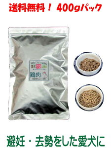 y_tz {^Cv  ʗ TCY 400g 1 SΉ Y Y SΉ hbOt[h Y Rǂg hCt[h J[ ς ᎉb 