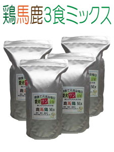 y _t z~bNX n{  ʗ 900g 4 SΉ Y Y SΉ hbOt[h WrG n { hCt[h J[ ς ᎉb H _CG