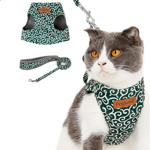 y [ւő z Lp  ͗l 2F Iׂ y L   zU@˂