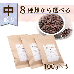 yzX[p[SALEI10OFFI  ݔ 100g×3 R[q[ 蓤  XyVeBR[q[ ㎩ uh VO