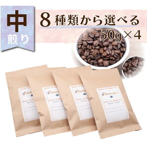 yz ݔ 50g×4 R[q[ 蓤  XyVeBR[q[ ㎩ uh VO