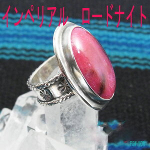 [hiCg O Vo[y󒍐zw aoM 傫 CyA I[XgAYo  ׍Ht 1_ I[ Ԃy10`25܂Łz