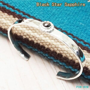 ubN X^[Tt@CA oOy󒍐z @A[ Vo[oO 925 Vvy 13.5`16cmz