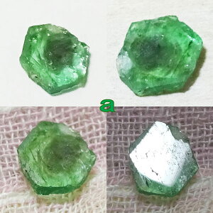 Gh XCX Vo[O nby󒍐zVo[ANZH[ pEE㊯R ׍Ht Vo[[N nhChy10`30܂Łz