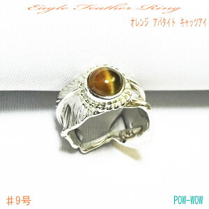 IW Ap^Cg LbcAC sL[O Vo[ tFU[O w 󏭐 925 H[ 9 gift