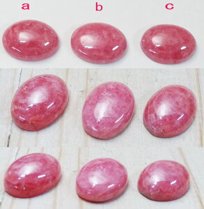 CJ[Y Vo[O [hNTCg @A[ w Vo[ANZH[ pEE㊯R ׍Ht nhCh fB[Xy10`25܂Ŏ󒍐z