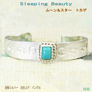 �X���[�s���O�r���[�e�B �^�[�R�C�Y�o���O���y�󒍐���z���d�グ �V���o�[�o���O�� �u���X���b�g �n�� �g���R�΁y������13.5cm�`15.5cm�z