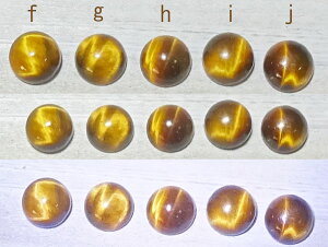 ^CK[AC Sunshine 2 LbcACy󒍐zՂ̖ڐ sL[ w TVC O Vo[ 925yTCY@1`35܂Łz