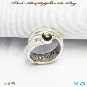 tFU[O ubN X^[ Tt@CA sL[O Vo[O fB[Xy9 摜i ݌1zy9`30܂ 󒍐z