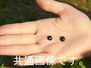 ヌーマイト約8mmラウンドカボーションこの2つならマッチング高さが合いますよ