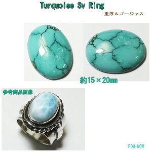 ^[RCY 15×20mm Vo[O 925y󒍐zY w Ԃ S[WX Vo[ANZH[ ׍Ht y10`30z