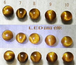 ^CK[AC Sunshine 2 LbcACy󒍐zՂ̖ڐ sL[ w TVC O Vo[ 925yTCY@1`35܂Łz