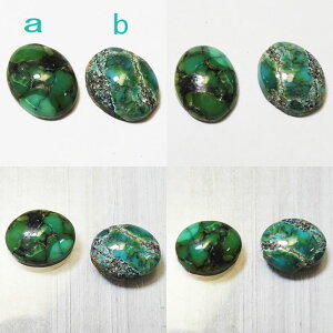 ^[RCY Vo[oO X^[ y󒍐@13.5`16cmzVo[ANZH[ pEE㊯R ło fB[X uXbg nhChy 14cm ݌1z