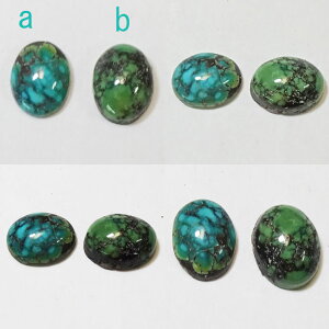 oO [X^[ Vo[uX U[hy󒍐  13.5`16cm܂Łz nhCh XpC_[EFu ^[RCY gR El y 14cm݌1z