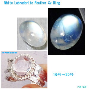 zCguhCg tFU[Oy2023fzy󒍐zd S[WXUP Vo[ 925 Y gR fB[X ׍Ht Vo[O w  lCeBuXs