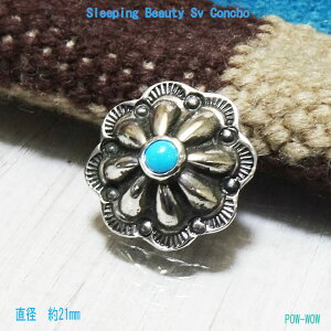 X[sOr[eB R`y󒍐zVo[R` {^ USA A]iBYo gR AJZ gfBVi Vo[[Nya 23mmz