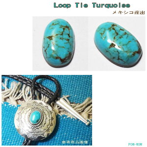 [v^C BOLO TIE ^[RCY loop tiey󒍐zLVRYo A Vo[ANZH[ pEE㊯R ׍Ht X^v[N Vo[ANZ YANZ Ԃ ubNAeB